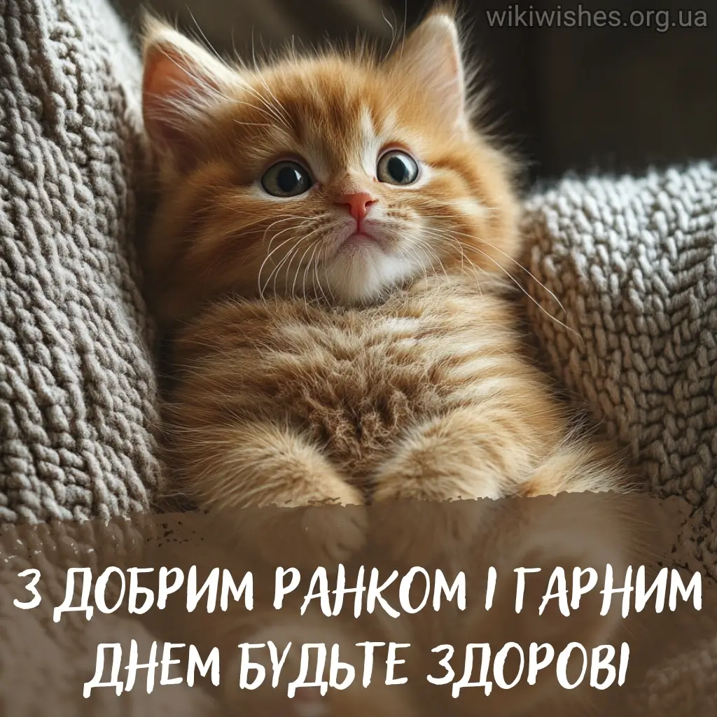 Нова листівка гарного дня 1