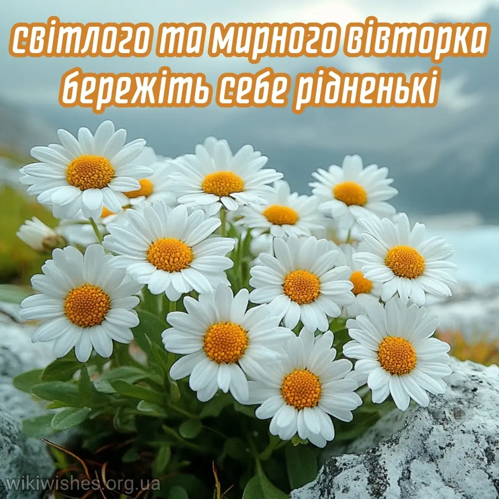 Нова листівка доброго ранку вівторка 18